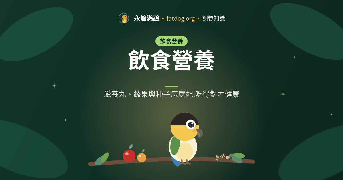 幼鳥手養餵食注意事項