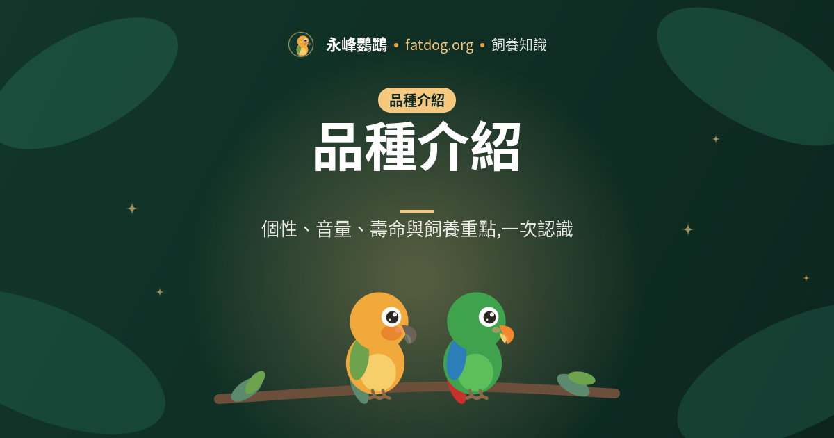 綠頰小太陽好養嗎?個性、音量、壽命與新手須知