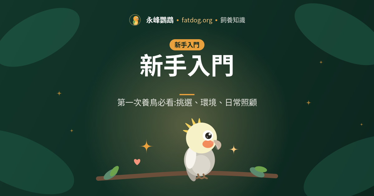 養鸚鵡會很吵嗎?先搞懂叫聲再決定