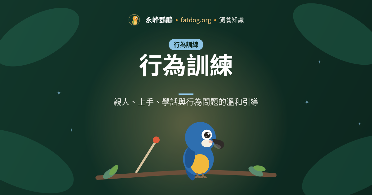 主人一離開就狂叫?化解鸚鵡分離焦慮